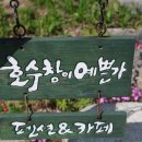 넘버원펜션 네이버블로그