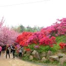 완산-7 이미지
