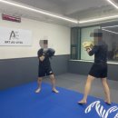 라텔 주짓수,복싱 강서 | 목동 주짓수 명가 &lt;아트주짓수 강서&gt; (ft. 양천구에서 주짓수 잘 가르치기로 유명한 곳)