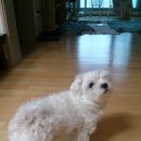 올리브백화점 이미지