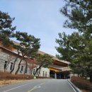그린힐골프 | 곤지암 그린힐cc 겨울골프 후기 페어웨이 넓고