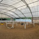 송곡승마교육원 이미지