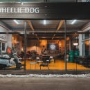 윌리독(wheeliedog) 이미지