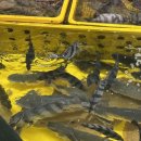 해광상회 이미지