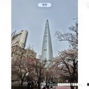 갤러리수락 | [공지] 갤럭시 S24 One UI 8.5 베타 후기 - 애플 AirDrop 연동! (강추)