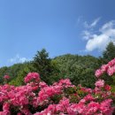 곰바위가든 이미지