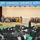 도계체육관