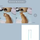 뚱이PC방 이미지