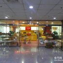 바나나포켓볼클럽 이미지