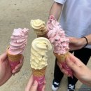 99 이미지