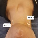 (주)디피엘 이미지