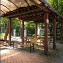 초록공원 농구장 이미지