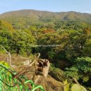 용인 미르힐 이미지