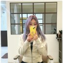 메이에르 이미지