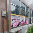디자인월드