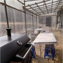 자연과 펜션 | 자연과 어우러진 독채펜션에서의 완벽한 휴식, 직접 체험 후기