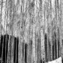 갤러리카페강변풍경 이미지