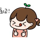 캔버라스크린골프 이미지