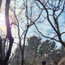 제주기억 | 제주승마체험 제주도여행 중 가장 기억에 남았던 제주말체험 후기