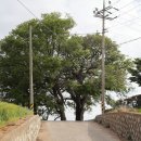 선구보건진료소 이미지