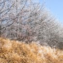상고대전망대 이미지