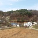 금대리828 네이버블로그