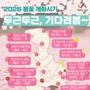 한월당로 네이버블로그