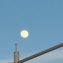 미륵 | [통영 가볼만한곳] 마음이 편해지는 이색 펍 미륵미륵 후기