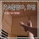 효소를담다, 효담 이미지