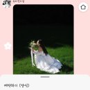 푸르던 | 제주 웨딩스냅 [푸르던] 계약후기 추천