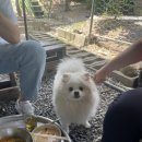 현승오리농장 이미지