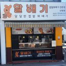 달배기꽈배기 이미지