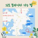 외도 보타니아 가는 법, 유람선 5곳 총정리 비교