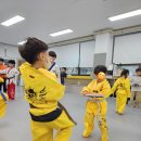 용인대호랑이태권도장 이미지