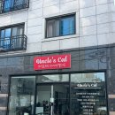 엉클스캣 | 대전 고양이 무마취 미용 잘하는곳 엉클스캣