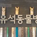 유석 동물병원 이미지