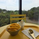 망고당 | [제주/안덕 맛집] 가성비와 퀄리티 폭발! 달콤함 끝판왕 '제주망고당' 솔직 후기 🥭🍦✨
