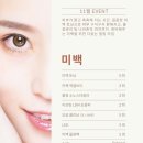 시즈의원 이미지