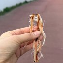 부천로264번길 이미지