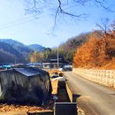 농협양곡창고 앞 이미지