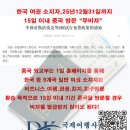 DK국제여행사