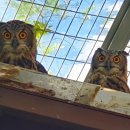 자연에 품 이미지