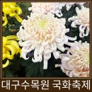 대명카부분정비 | 대구여행 대구수목원 국화축제와 꼭 국화가 아니더라도 좋았다