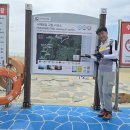 풍산 태양광발전소 이미지