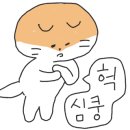 성원물닭갈비송도