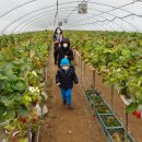 현준농장2 이미지