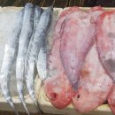 남매수산 이미지