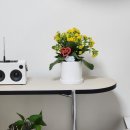 자연과식물원예연구소 | 원예체험키트로 키우는 실내공기정화식물 칼란디바 꿈의정원