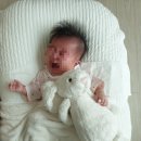 솔솔세탁 이미지