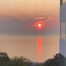 묵호잠자리 이미지